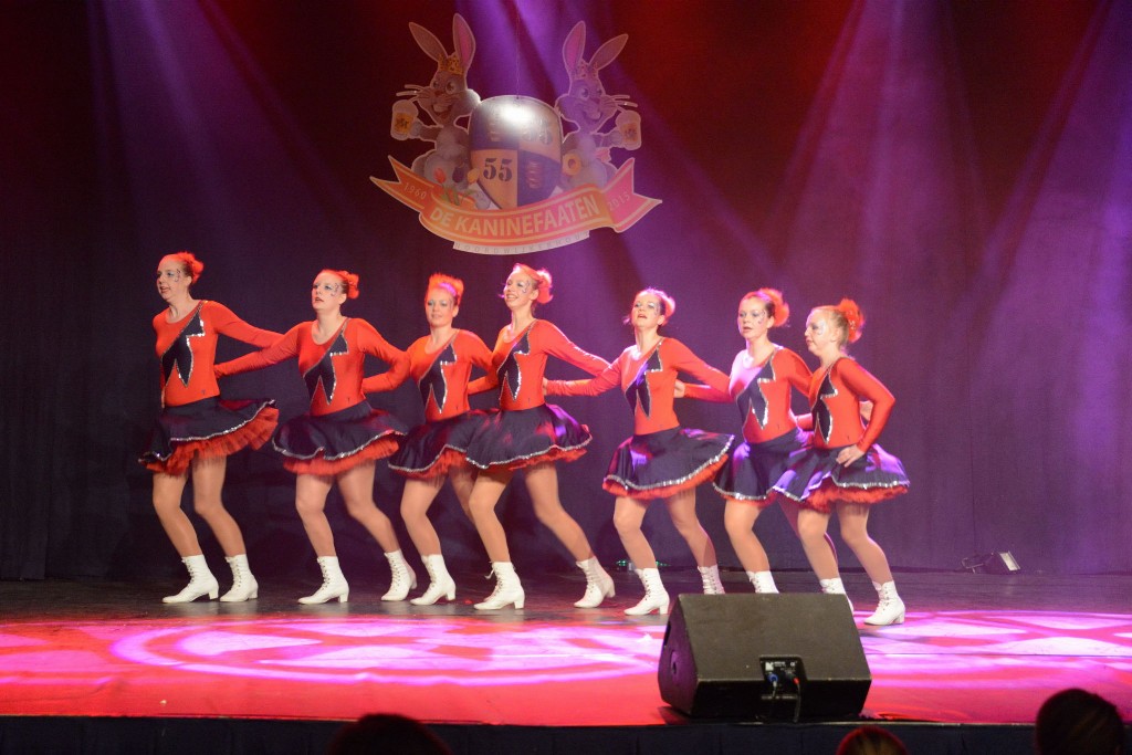 ../Images/Dansmarieke festival 2015 241.jpg